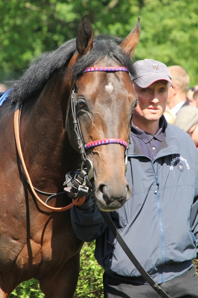 Bult VGH2011   097.jpg